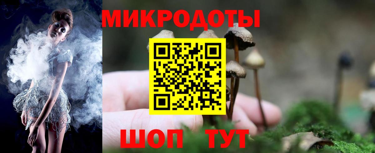Галлюциногенные грибы Psilocybine cubensis  Псилоцибиновые грибы ЛСД  Вход с VPN  Зима 
